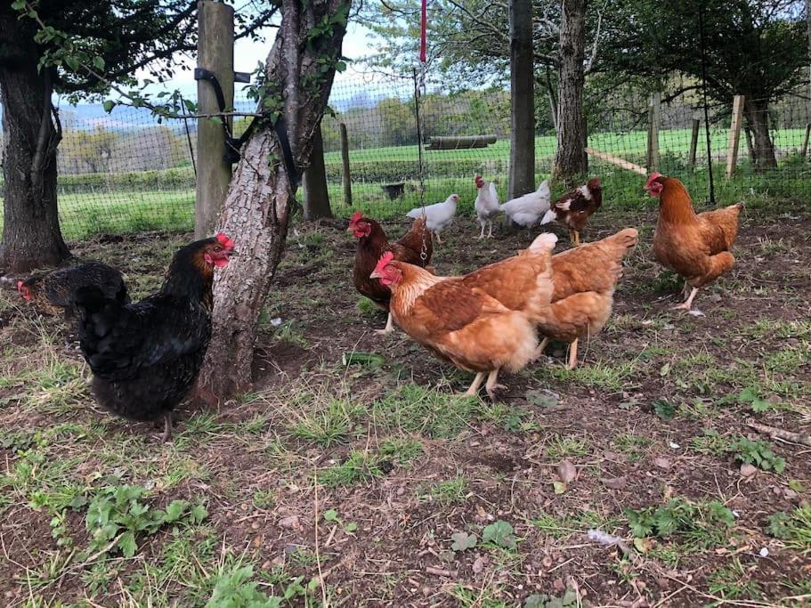 The Steading At Pitmeadow Farm Βίλα Dunning Εξωτερικό φωτογραφία