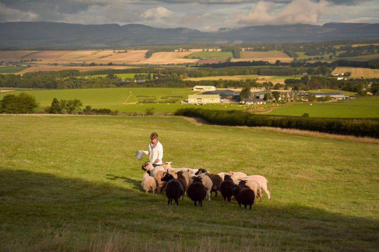 The Steading At Pitmeadow Farm Βίλα Dunning Εξωτερικό φωτογραφία
