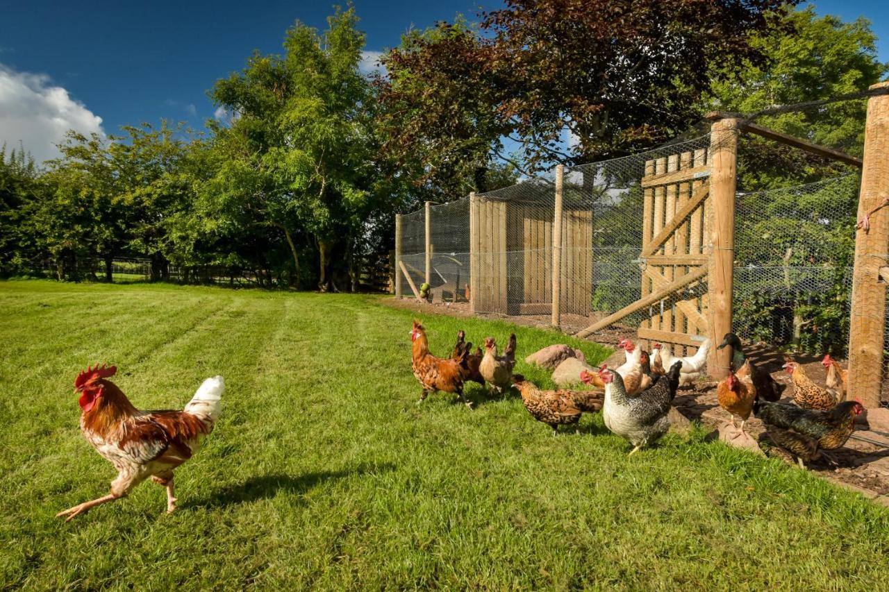 The Steading At Pitmeadow Farm Βίλα Dunning Εξωτερικό φωτογραφία