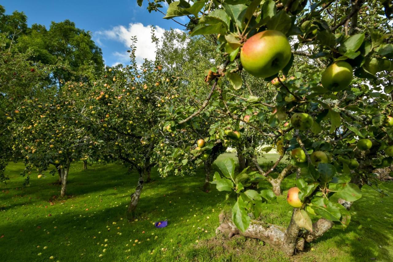 The Steading At Pitmeadow Farm Βίλα Dunning Εξωτερικό φωτογραφία